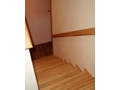 schodit 4